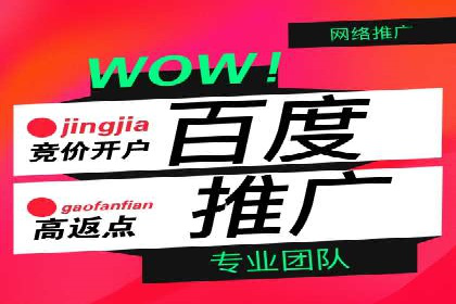 百度竞价广告代运营的五大优势及在某行业的成功应用